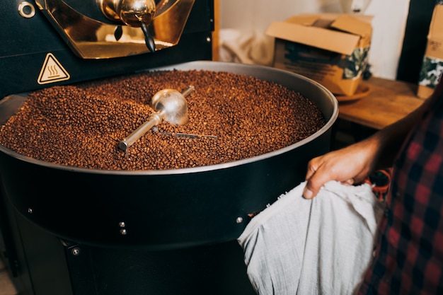 Les mains de l'homme tenant des grains de café aromatiques fraîchement torréfiés sur une machine de torréfaction de café moderne.