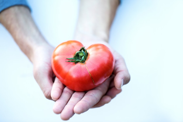 Mains d'homme tenant une tomate mûre