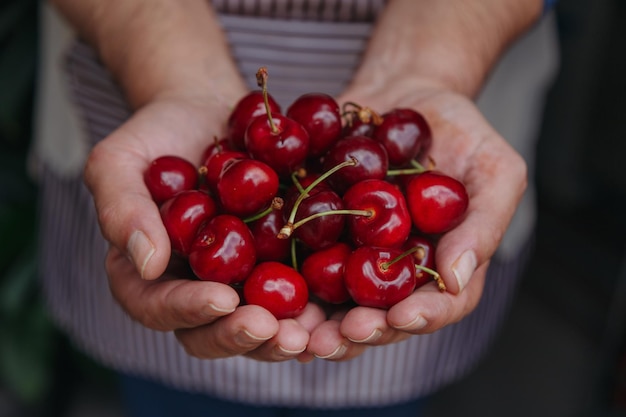 Les mains d'un homme tiennent une cerise dans ses paumes en gros plan