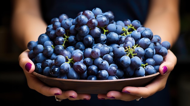 Les mains de l'homme tiennent une grappe de raisin noir en gros plan