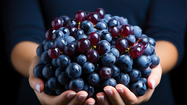 Les mains de l'homme tiennent une grappe de raisin noir en gros plan