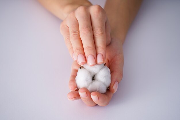 Mains d'une jeune femme sur des fleurs de coton blanc sur fond blanc. Manucure féminine. Fleur de coton. Fermer.