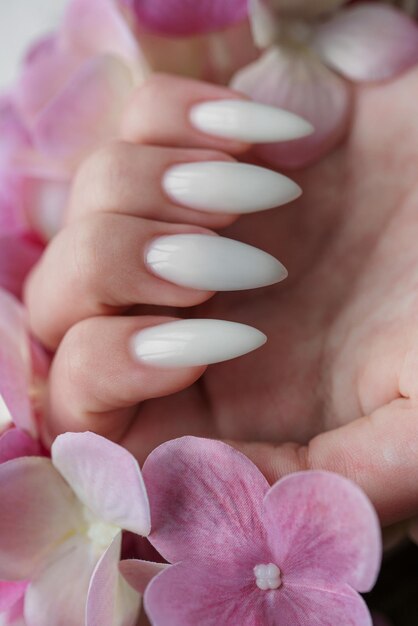 Mains d'une jeune femme avec une manucure blanche sur les ongles