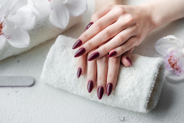 Mains d'une jeune femme avec une manucure rouge foncé sur les ongles