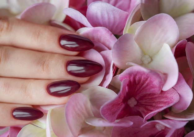 Mains d'une jeune femme avec une manucure rouge foncé sur les ongles