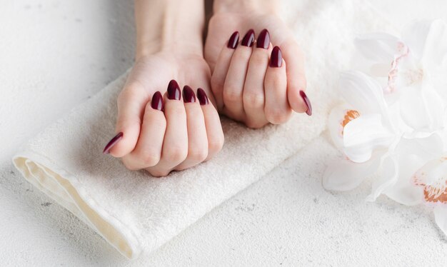 Mains d'une jeune femme avec une manucure rouge foncé sur les ongles