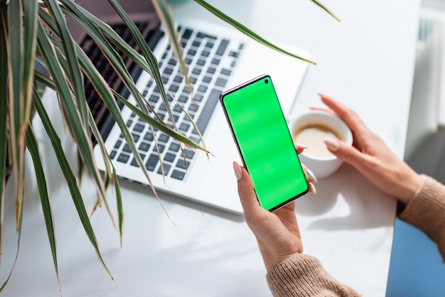 Mains de jeune femme vérifiant son téléphone et buvant du café Concentrez-vous sur l'écran vert chromakey du téléphone portable