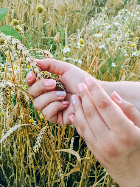 Les mains de la jeune fille sur le fond d'un champ de blé