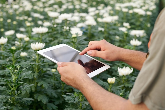 Les mains d'une jeune jardinière avec une tablette pointant vers l'écran