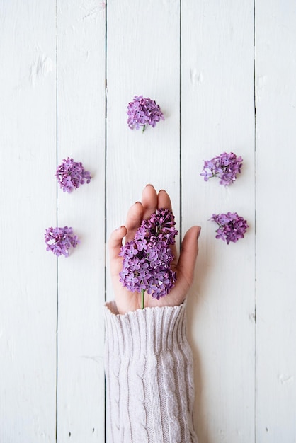 Mains avec lilas sur fond blanc paume sur table violet