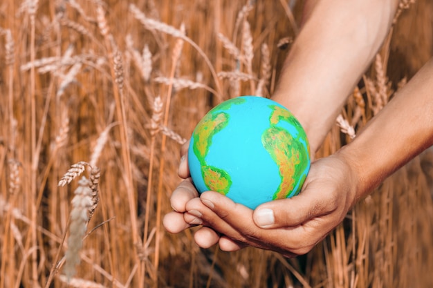 Mains mâles avec modèle de planète Terre sur un fond d'oreilles de feuille dans une campagne, symbole mondial de l'agriculture