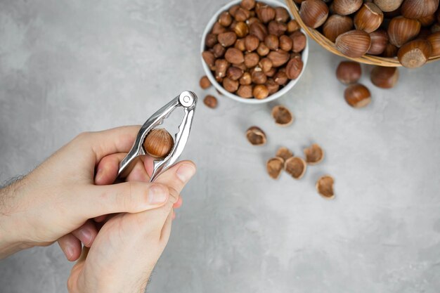 Mains mâles tenant un casse-noisette avec des noisettes à l'intérieur. Panier de noisettes sur fond gris. Noisettes Bio.