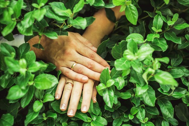 Photo mains de la mariée et du marié avec des bagues de mariage et de fiançailles