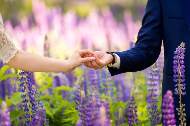 Mains une mariée et le marié dans le champ de lavande du jour du mariage.