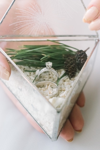 Mains de mariée tenant des anneaux de mariage dans la boîte en verre triangle avec du sable blanc décoré avec le pin