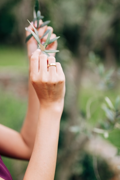 Photo les mains des mariées tiennent une branche verte d'un arbre en gros plan