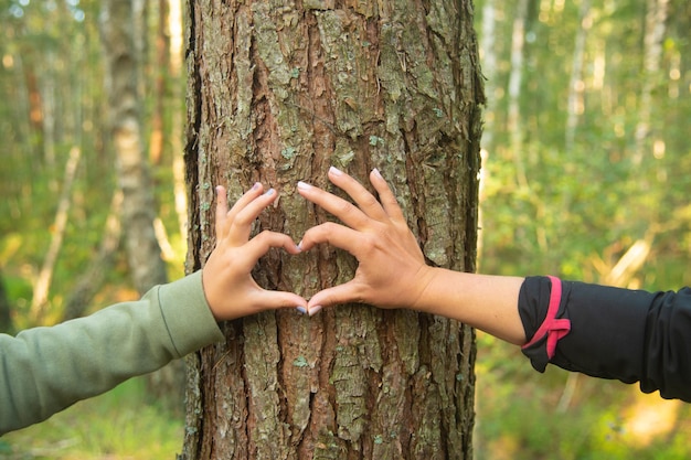 Mains mère et fille formant une forme de coeur autour d'un grand arbre protégeant et aimant la nature