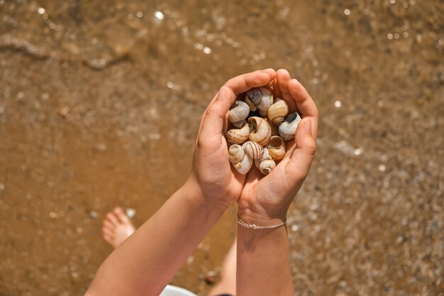 Mains ramassant des coquillages sur la plage de la mer. Gros plan sur les mains des enfants avec des coquillages collectés au-dessus de la mer. Mise au point sélective