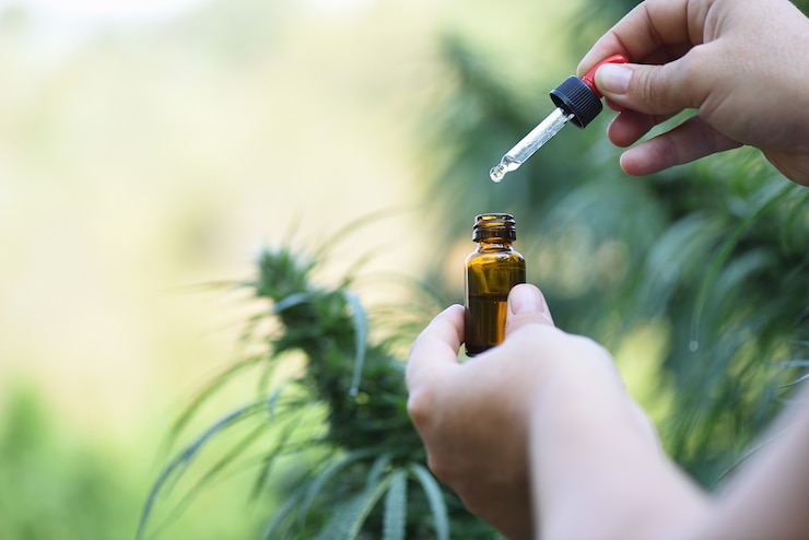Photo mains avec récipient ouvert d'huile de cbd dans la plantation à usage médicinal.