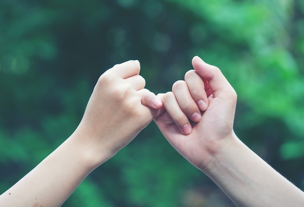 Les mains se raccrochent le petit doigt sur le fond de la nature