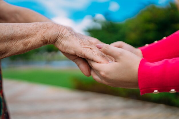 Les mains secourables pour les soins à domicile pour personnes âgées dans un parc en plein air.