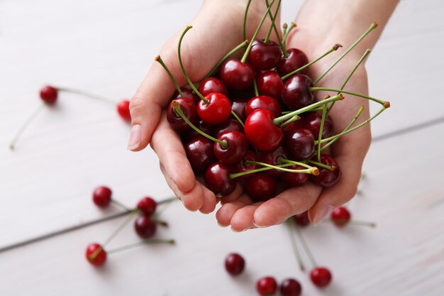 Mains tenant des cerises fraîches douces