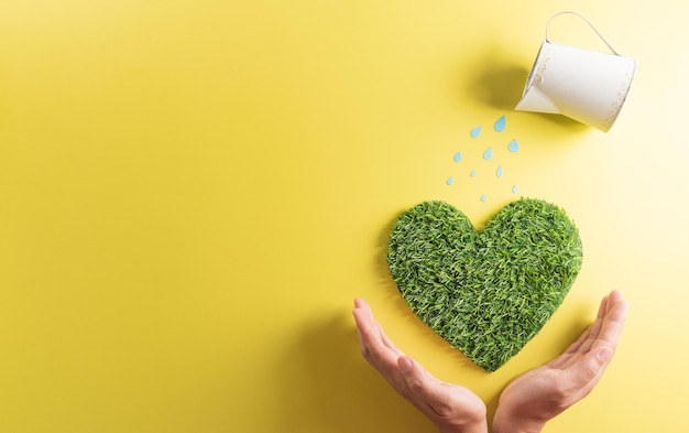 Mains tenant un coeur vert avec arrosage sur fond jaune Journée mondiale de l'environnement jour de la terre sauver la terre et le concept écologique