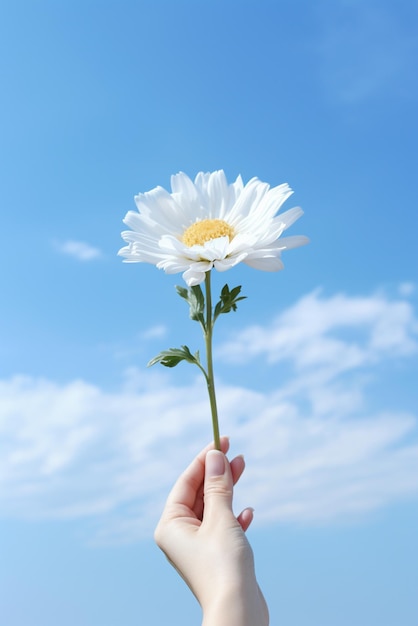 Des mains tenant une fleur isolée sur le fond du ciel