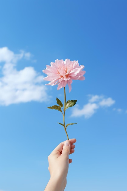 Des mains tenant une fleur isolée sur le fond du ciel