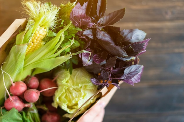 Mains tenant le paquet avec des aliments frais crus sains sur une surface en bois sombre