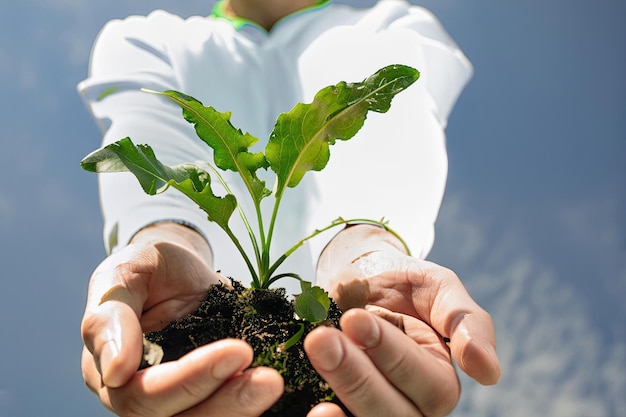 Mains tenant une plante avec le mot plante dessus