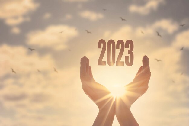 Mains tenant la silhouette du nouvel an 2023 avec vol d'oiseau libre profitant de la nature sur fond de coucher de soleil