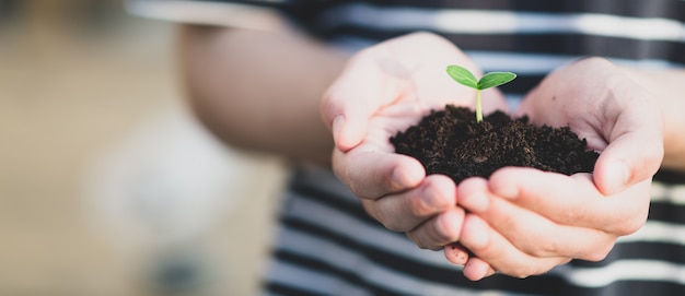 Les mains tiennent le sol avec une pousse. Concept de la nature. Place pour votre texte.