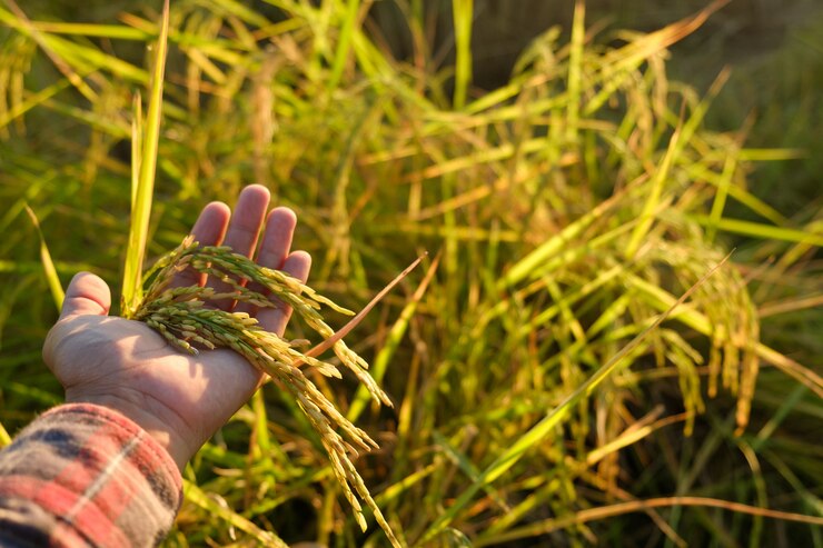 Les mains touchent les oreilles à la ferme