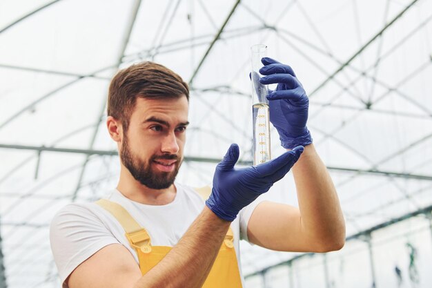 Maintient le tube à essai Un jeune ouvrier de serre en uniforme jaune travaille à l'intérieur de la serre