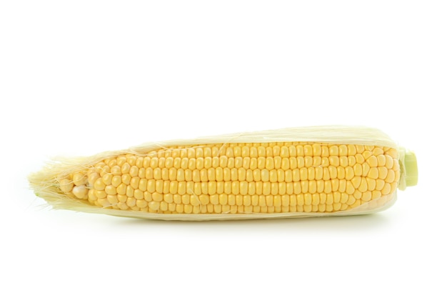 Maïs cru frais isolé sur fond blanc