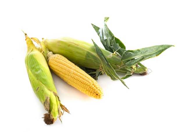 Maïs doux devant fond blanc