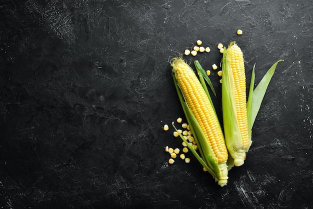 Maïs frais sur fond noir Légumes Vue de dessus Espace de copie gratuit