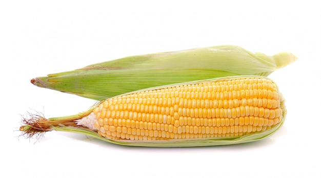 Maïs isolé sur un blanc