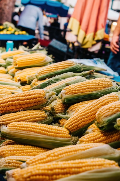 Maïs vendu sur le marché des épis de maïs