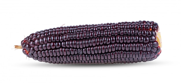 Maïs violet sur un tableau blanc