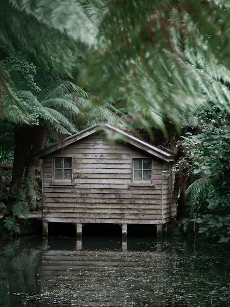 Photo une maison abandonnée au milieu des arbres dans la forêt