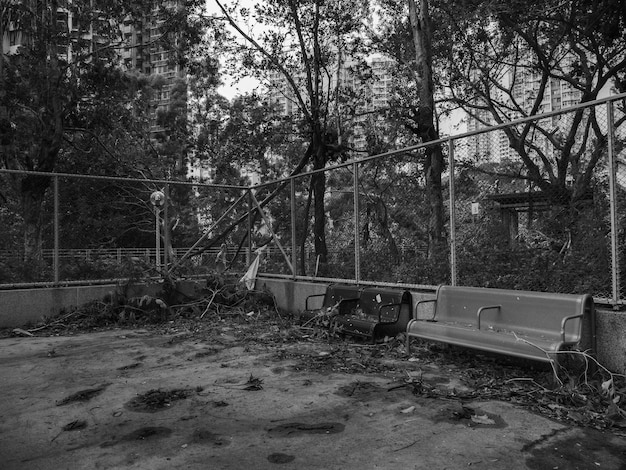 Photo une maison abandonnée dans la forêt