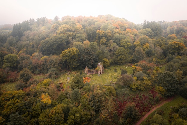 Maison abandonnée dans une forêt