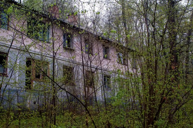 Photo maison abandonnée à deux étages dans la forêt