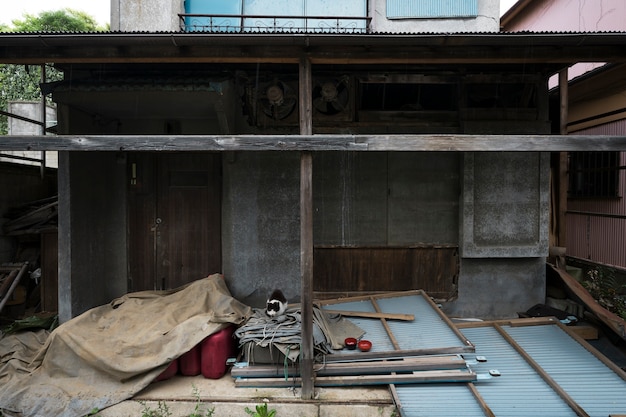 Maison abandonnée avec fond de chat mignon