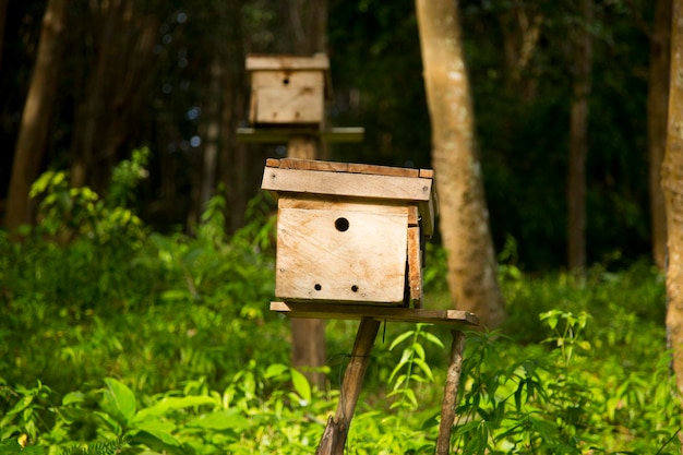 Une maison d'abeilles en bois sur une ferme de l'île de Ko Yao, dans le sud de la Thaïlande