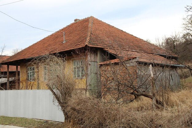 Une maison avec un arbre devant.