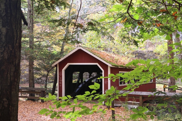 Maison avec des arbres en arrière-plan