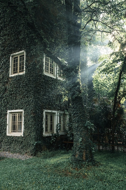 Maison des Arbres